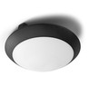 Luminaire plafonnier avec détecteur de mouvement à micro-ondes