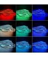 Ruban LED 5 mètres 12W/m RGB+WW - 24V DC, IP65, 60 LED par mètre