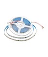 Ruban LED 5m 8W/m, 126 LED par mètre - 24V, IP20, 137lm/W, 4000K, SMD2835