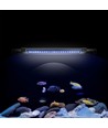 Luminaire pour aquarium 30-50 cm - LED 6W, blanc/bleu, réglable