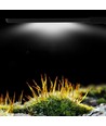Lampe d'aquarium 27,5 cm - LED 10W, blanc/bleu