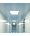 Dalle LED 60x60 PHILIPS driver, 40W - 120lm/W, 4000K, 5 ans de garantie