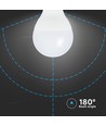 Ampoule LED E14 6,5W sphérique - P45