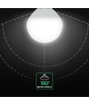 Ampoule LED E14 3,7W - P45, 320lm, plastique, puce CREE, garantie 6 ans