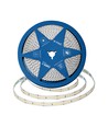 5m 12W/m Ruban LED, 168 LEDs/m - 24V, IP20, 140lm/W, 4000K, SMD2835