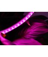 Ruban LED de croissance étanche 5 m - Complet avec prise, 230V, IP67, 180 LED, 10W par mètre