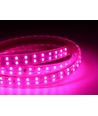 Ruban LED de croissance étanche 5 m - Complet avec prise, 230V, IP67, 180 LED, 10W par mètre
