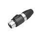 Sortie DMX XLR femelle - 3x1-2,5mm2
