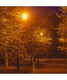 Lampadaire de jardin E27 - Noir, IP44 extérieur, aluminium, hauteur : 136,5 cm, sans source lumineuse
