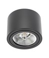Plafonnier LED Chloe - GU10, AR111, orientable, source lumineuse non incluse