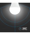 Lot de 3 ampoules LED E27 4,5W - G45, 4000K, verre blanc, pack de 3