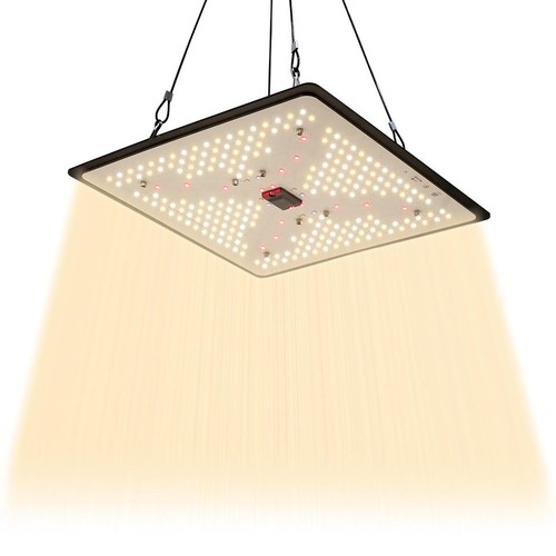 Quantum lampe de croissance 105W - Incl. suspension, spectre complet, sans ventilateur, IP65