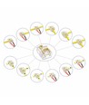 Connecteur multiple pour ruban LED - 10mm, monocolore, IP20, 5V-24V