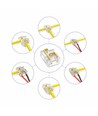 Connecteur multiple pour ruban LED - 10mm, monocolore, IP20, 5V-24V