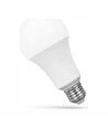 Ampoule LED E27 20W - A60