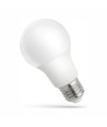 Ampoule LED E27 7W - A60