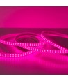 Ruban LED de croissance étanche 5 m - Complet avec prise, 230V, IP67, 180 LED, 10W par mètre
