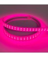 Ruban LED de croissance étanche 5 m - Complet avec prise, 230V, IP67, 180 LED, 10W par mètre