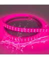 Bande LED de croissance étanche 5 m - 230V, IP67, 180 LED, 10W par mètre