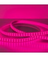 Bande LED de croissance étanche 5 m - 230V, IP67, 180 LED, 10W par mètre
