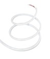 5m bande LED néon RGBIC extérieure - câble de 2 mètres, 10W/m, 576 LED par mètre, 24V, IP67