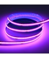 Ruban LED COB Violet 10m 9W/m - 24V DC, IP20, 320 LED/m