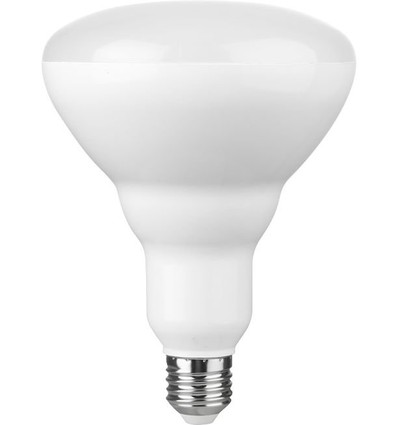 Ampoule LED E27 14W dimmable - R120, 1300lm, 2700K