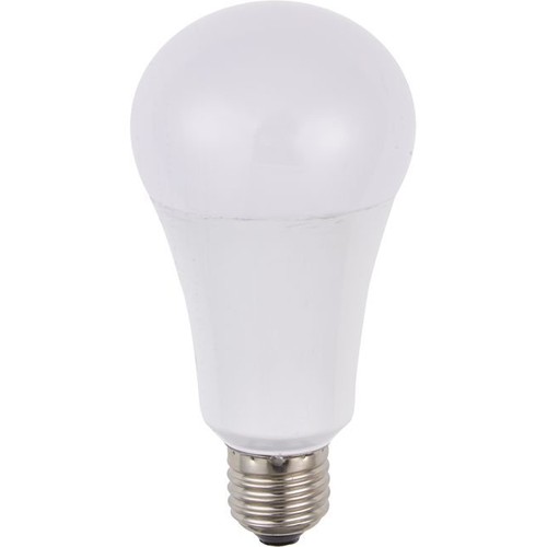 Ampoule LED E27 14W dimmable - A60, 1500lm, verre opale, 2700K