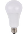 Ampoule LED E27 14W dimmable - A60, 1500lm, verre opale, 2700K