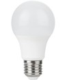 Ampoule LED E27 5,5W, 12-60V - A60, 600lm, verre opale, 3000K