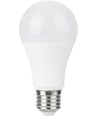 Ampoule LED E27 10W, 12-60V - A60, 810lm, verre opale, AC/DC