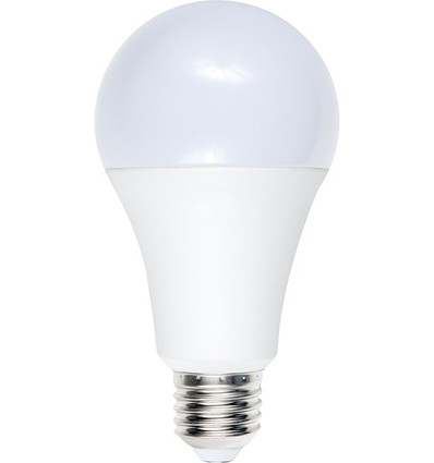 Ampoule LED E27 12W, 12-60V - A70, 1100lm, verre opale, 3000K, AC/DC