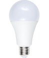 Ampoule LED E27 12W, 12-60V - A70, 1100lm, verre opale, 3000K, AC/DC