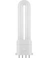 Ampoule LED 2G7 12,1cm 3W - 390lm, 4 broches, verre opale, 6500K