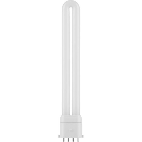 Ampoule LED 2G7 5W 20,5cm - 730lm, 4 broches, verre opale, 6500K