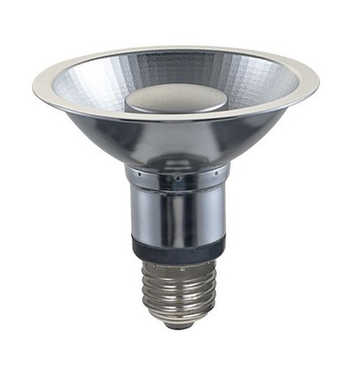 Ampoule LED PAR30 E27 12W dimmable - 725lm, 35°, 2700K, finition grise