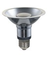 Ampoule LED PAR30 E27 12W dimmable - 725lm, 35°, 2700K, finition grise