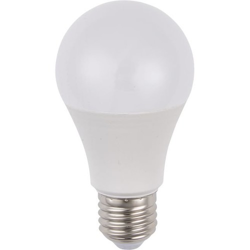 Ampoule LED E27 9,5W, 100-240V - A60, 900lm, 6500K, AC/DC, verre opale
