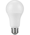 Ampoule LED E27 15W - A71, 1200lm, verre opale, 3000K