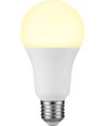 Ampoule LED E27 15W - A71, 1200lm, verre opale, 3000K