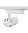 Spot sur rail monophasé 29W RA98 - 110lm/w, blanc, 1F2W