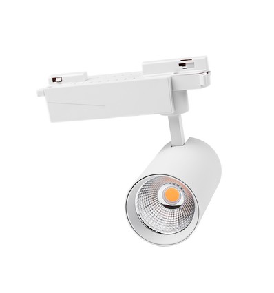 Spot sur rail monophasé 29W RA98 - 110lm/w, blanc, 1F2W