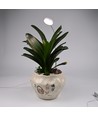 Lampe de croissance flexible avec piquet - 12W, minuterie