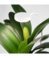 Lampe de croissance flexible avec piquet - 12W, minuterie