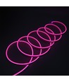 5m 8W par mètre Rose 8x16 Neon Flex LED - 12V DC, IP67