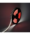 LEDlife bande LED 22W/m - 5m, Wall washer IP68, 24V, 48 LED par mètre