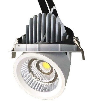 Downlight 35W Ø16,5cm - Découpe : Ø15,5 cm, Dimensions : Ø16,5 cm, Angle réglable