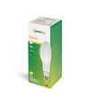 Ampoule LED E27 36W - 360°, verre dépoli