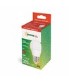 Ampoule LED E27 4W Sphérique - Verre dépoli