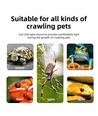 Lampe chauffante pour reptiles UVA/UVB - 50W, avec ampoule et support à pince